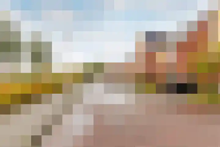 Beemdlaar 62 Almere thumbnail 41