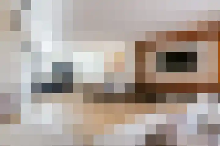 Beemdlaar 62 Almere thumbnail 6