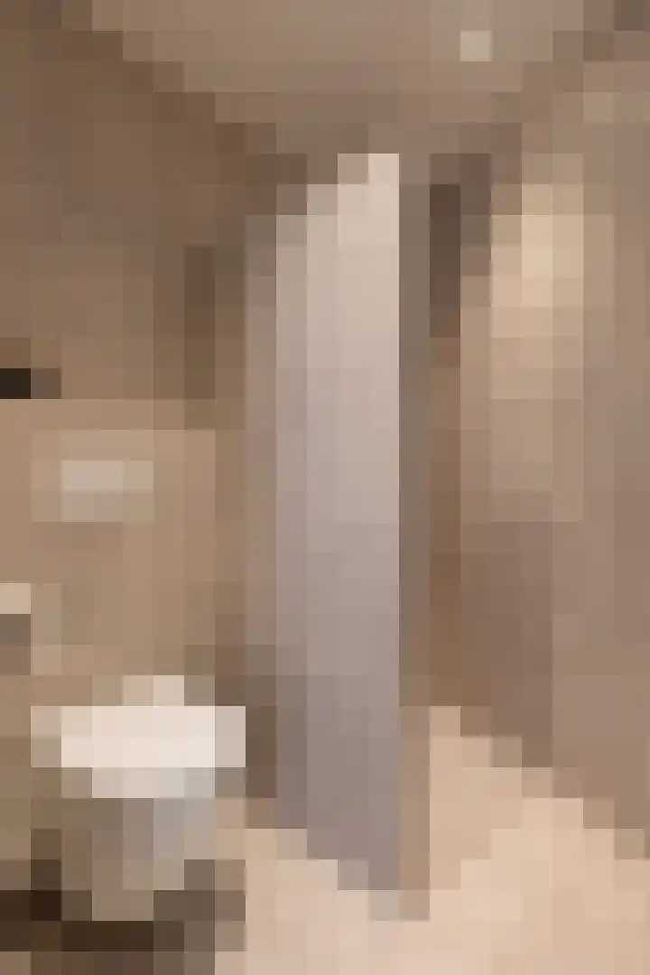 Beemdlaar 62 Almere thumbnail 9