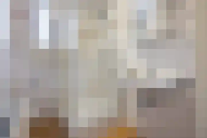 Beemdstraat 39 a Deil