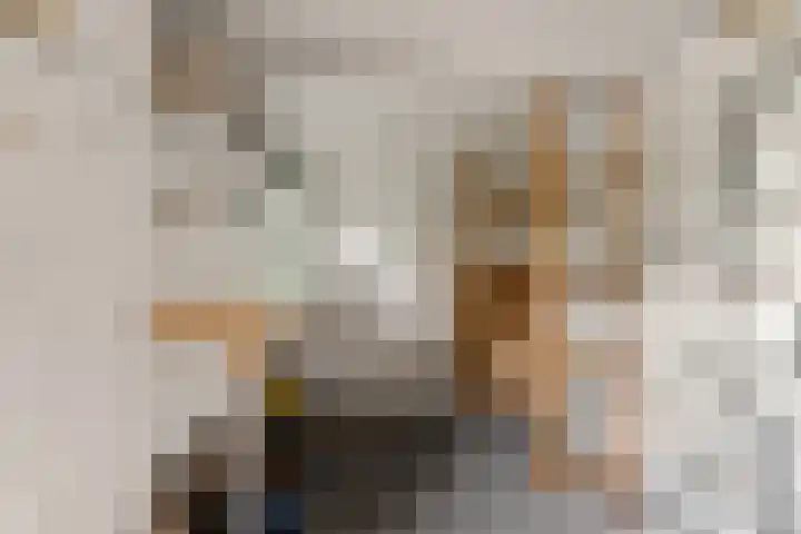 Beemdstraat 47 Nijmegen thumbnail 18