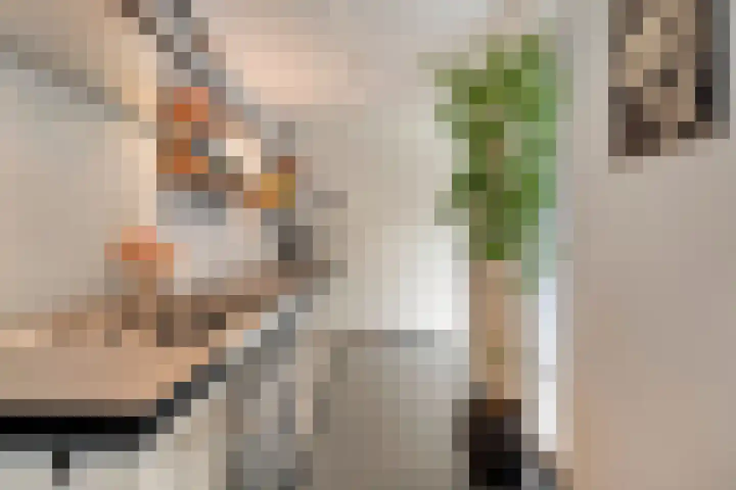Beemke 13 Netersel thumbnail 16