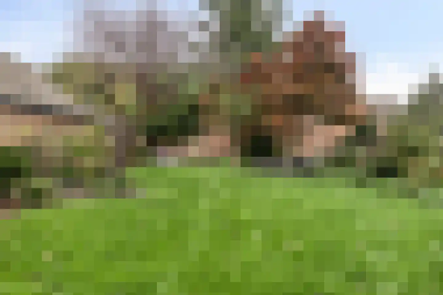 Beemke 13 Netersel thumbnail 38
