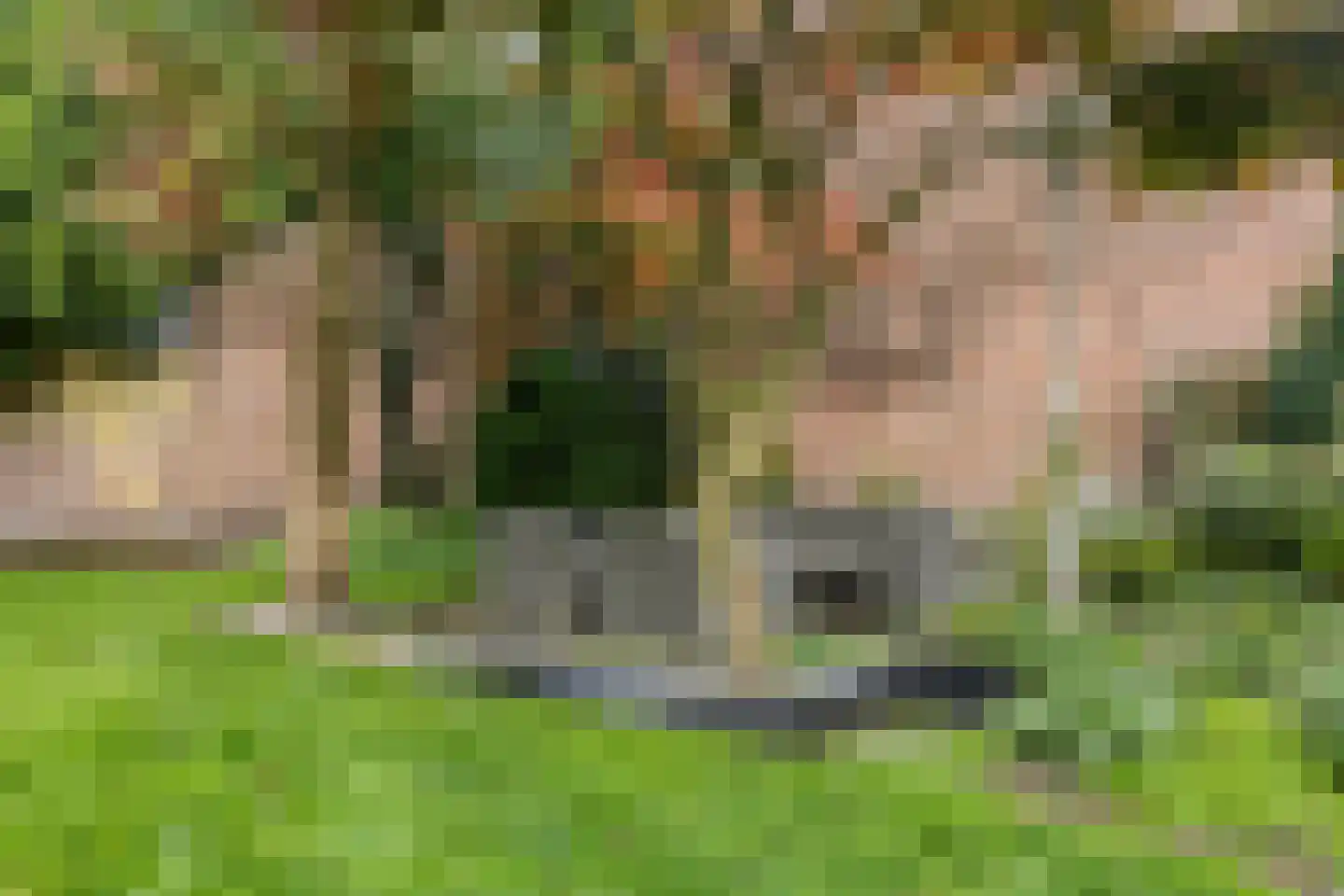 Beemke 13 Netersel thumbnail 39