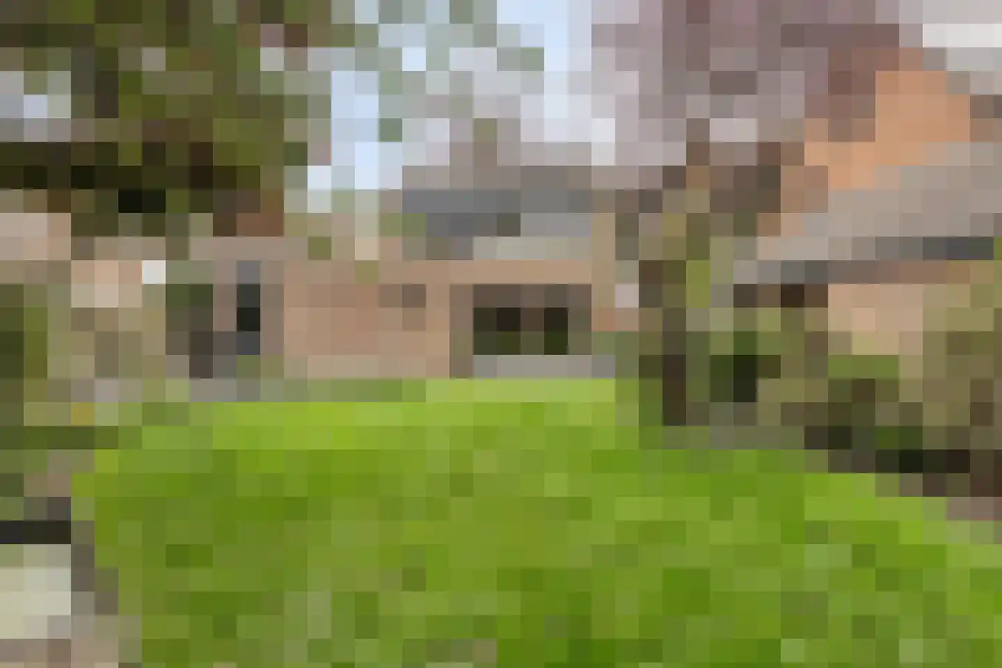 Beemke 13 Netersel thumbnail 40