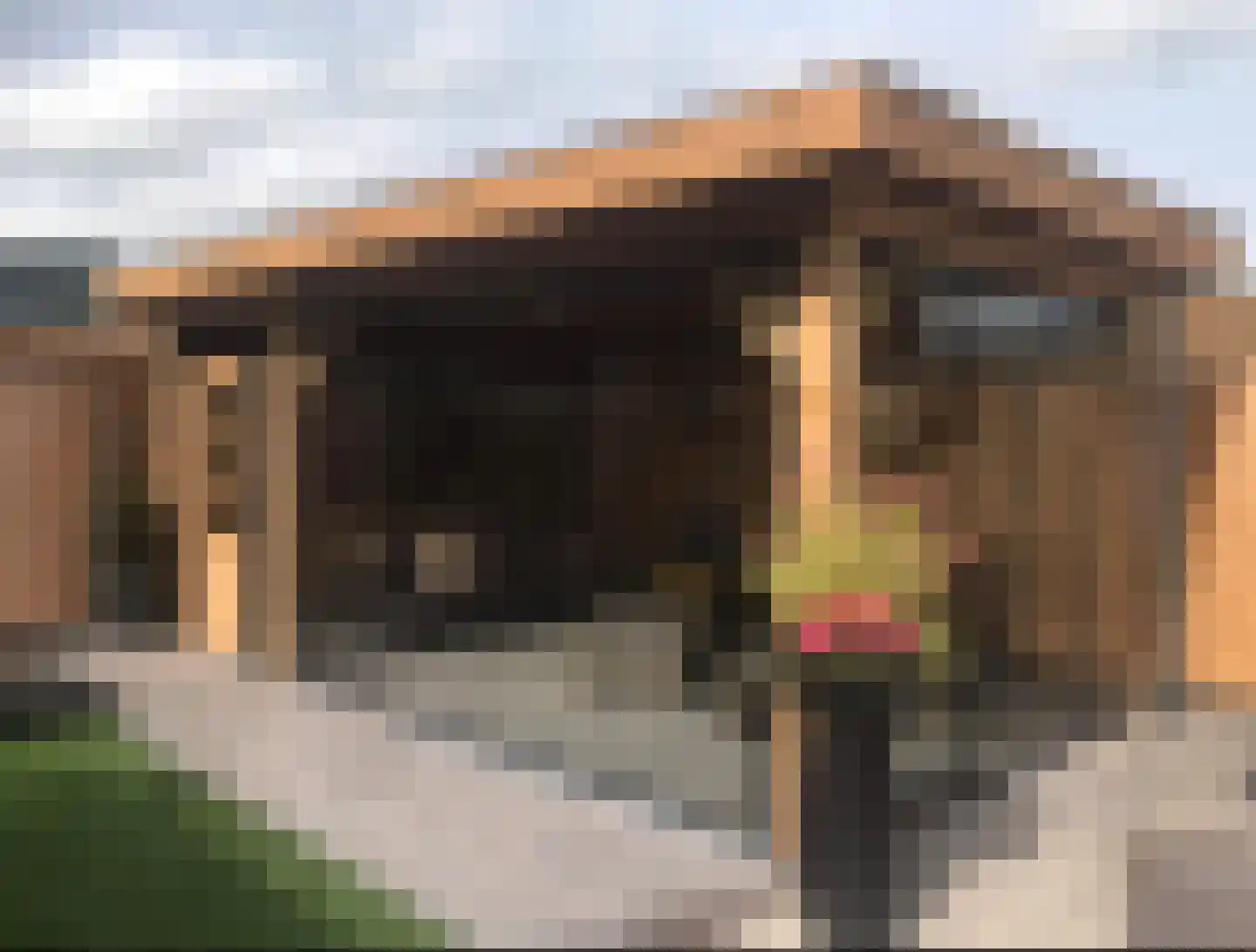 Beemke 13 Netersel thumbnail 43
