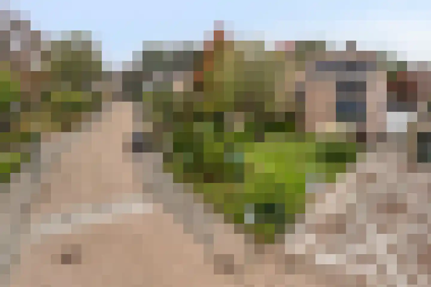 Beemke 13 Netersel thumbnail 5