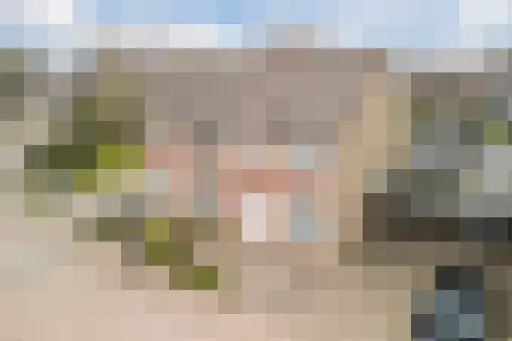 Beemke 9 Netersel