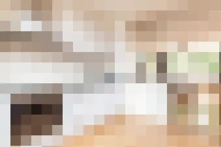 Beemster 19 Lelystad thumbnail 20