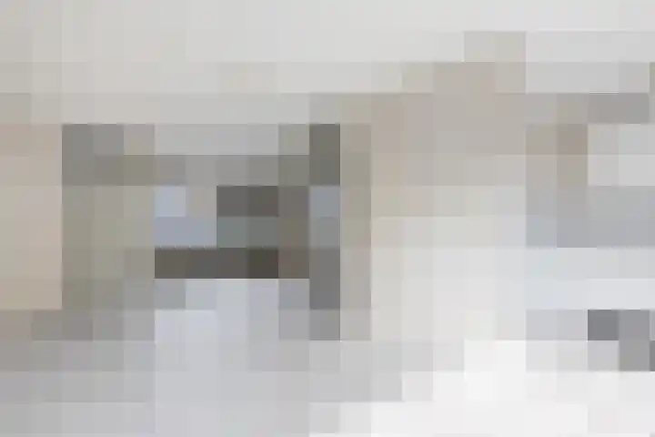 Beemster 19 Lelystad foto 3