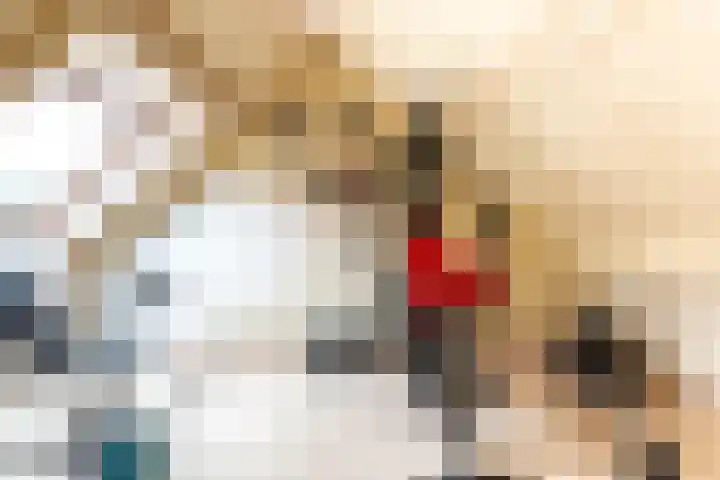 Beemster 19 Lelystad thumbnail 33