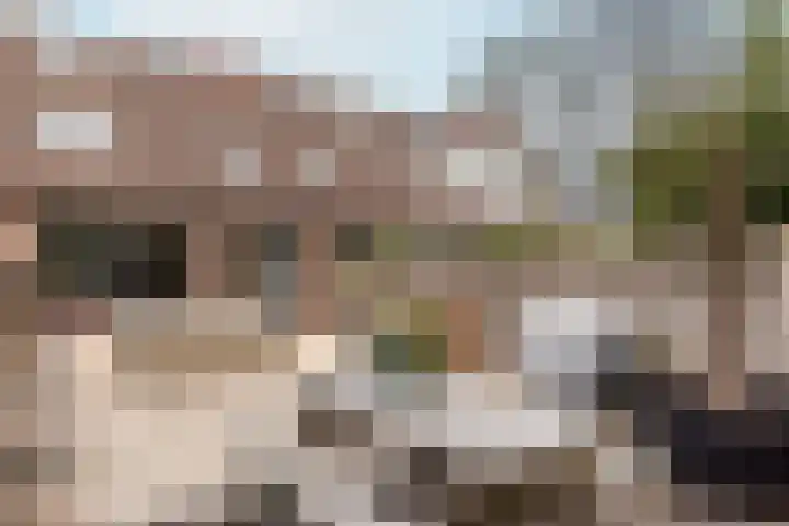 Beemster 19 Lelystad thumbnail 35