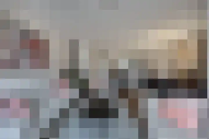Beemster 50 Lelystad thumbnail 15
