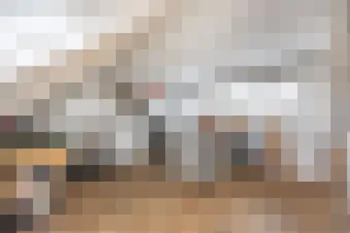 Beemster 50 Lelystad thumbnail 37