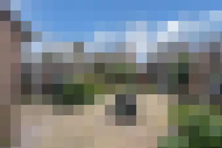 Beemster 50 Lelystad thumbnail 4