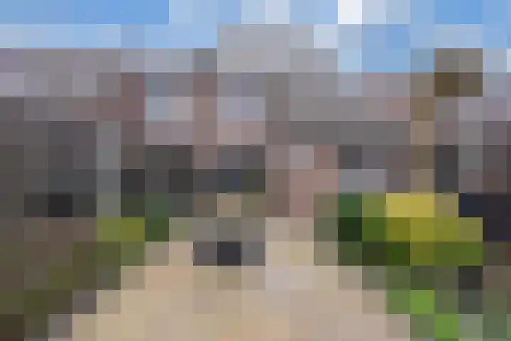 Beemster 50 Lelystad thumbnail 41