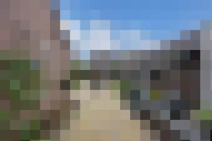 Beemster 50 Lelystad thumbnail 42