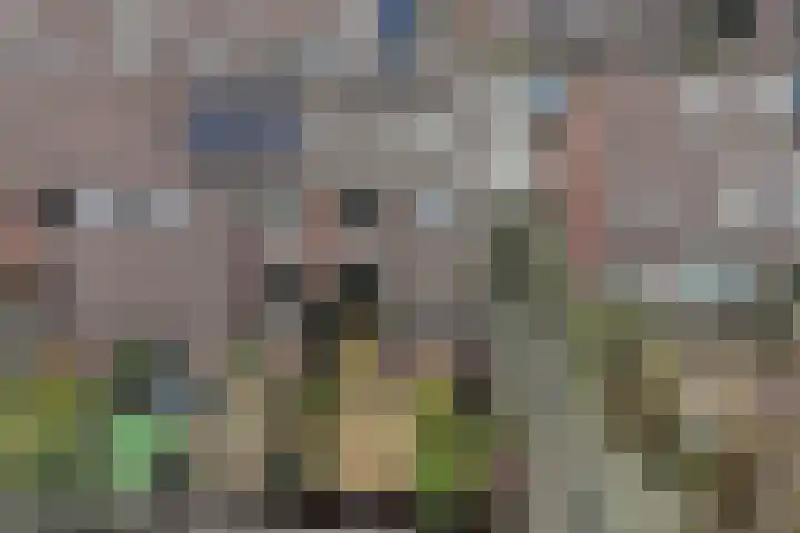 Beemster 50 Lelystad thumbnail 43