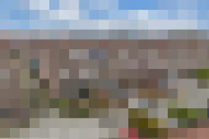 Beemster 50 Lelystad thumbnail 5