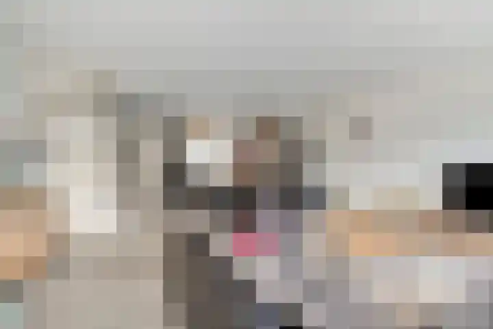 Beemster 92 Lelystad thumbnail 10