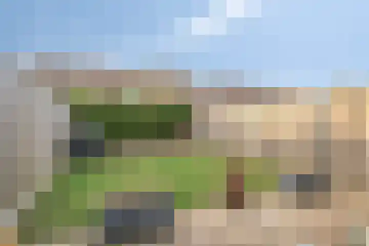 Beemster 92 Lelystad thumbnail 27
