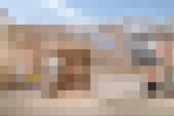 Beemster 92 Lelystad thumbnail 29