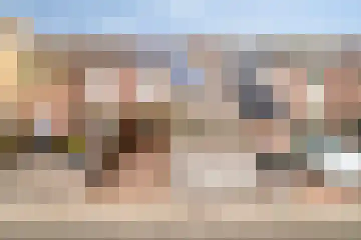 Beemster 92 Lelystad thumbnail 30