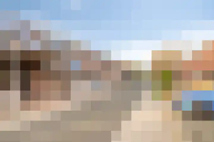 Beemster 92 Lelystad thumbnail 31