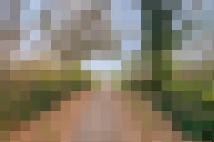 Beemster 92 Lelystad thumbnail 32