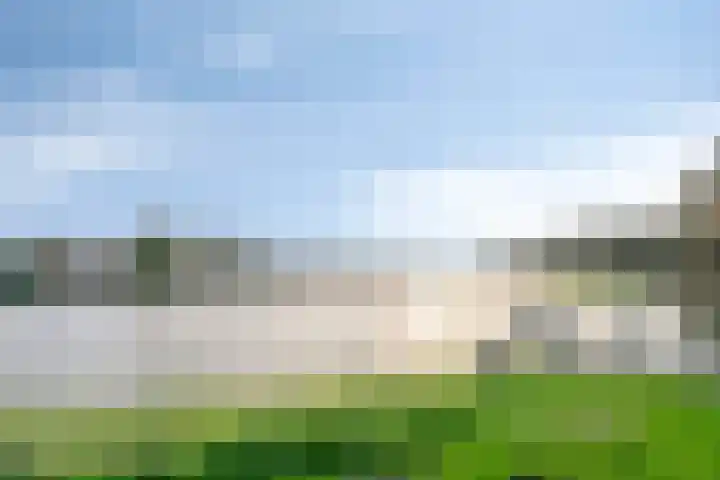 Beemster 92 Lelystad thumbnail 33