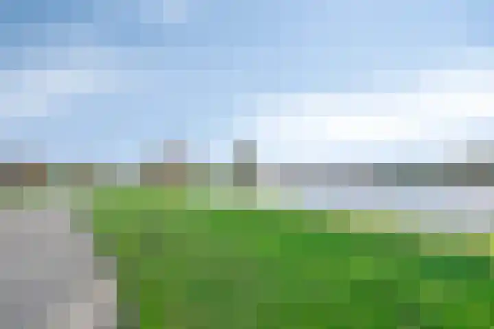Beemster 92 Lelystad thumbnail 34