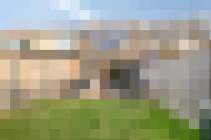 Beemster 92 Lelystad thumbnail 4