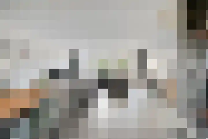 Beemster 92 Lelystad thumbnail 7