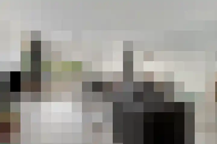Beemster 92 Lelystad thumbnail 8