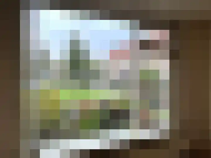 Beemsterstraat 27 Edam thumbnail 9