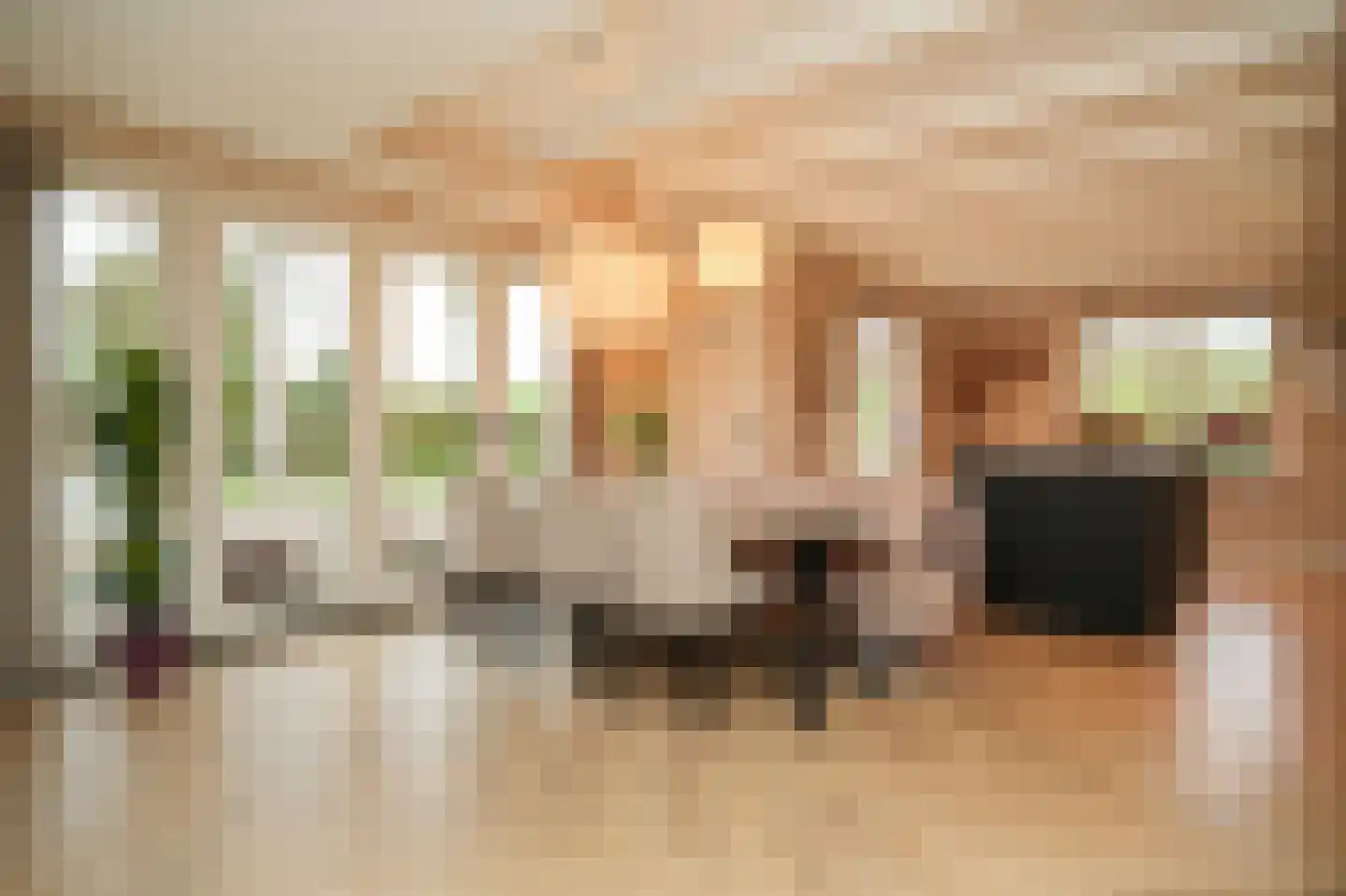 Beemstraat 44 Gameren thumbnail 10