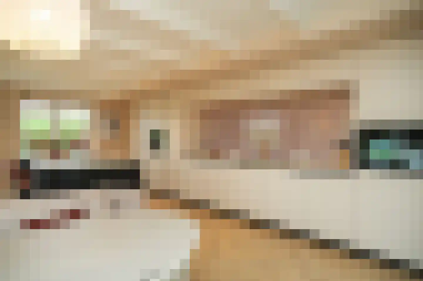 Beemstraat 44 Gameren thumbnail 12