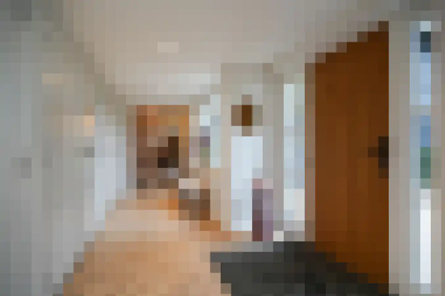 Beemstraat 44 Gameren thumbnail 43
