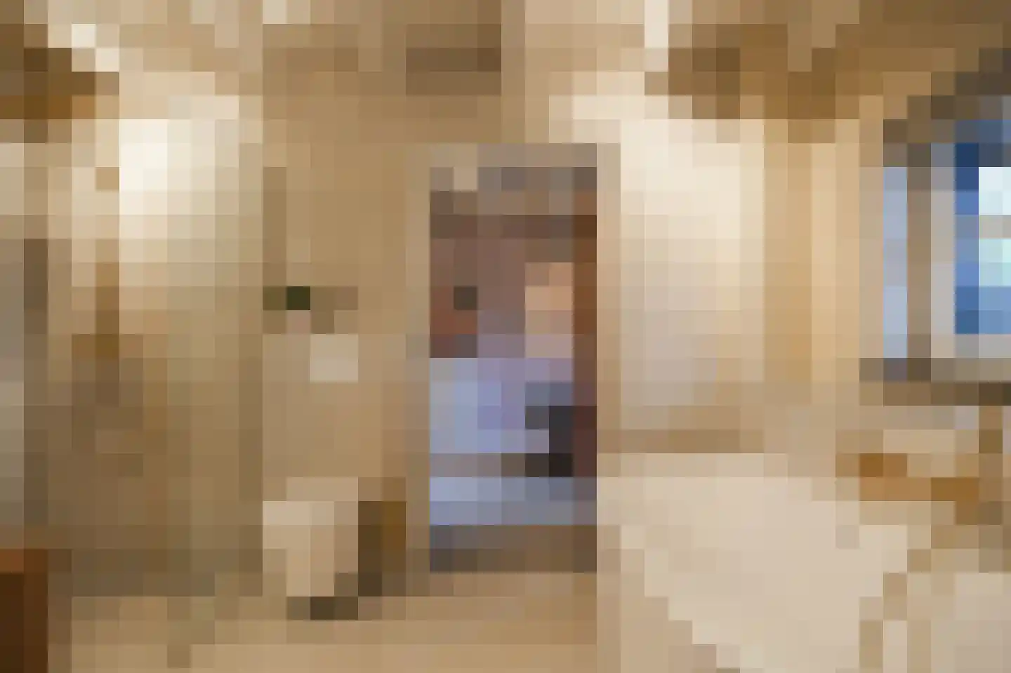 Beemstraat 44 Gameren thumbnail 55
