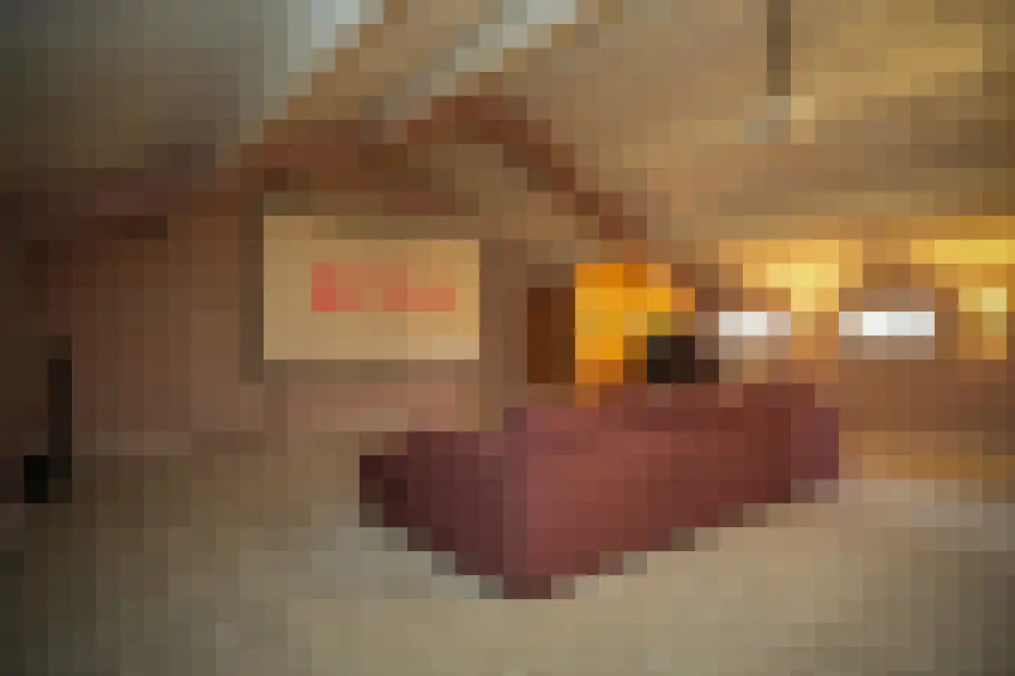 Beemstraat 44 Gameren thumbnail 63