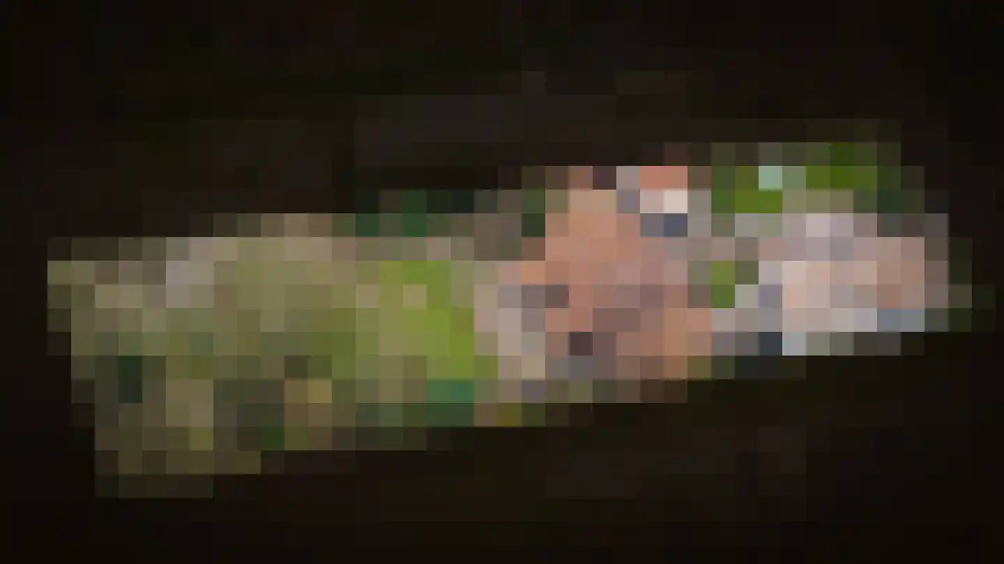 Beemstraat 44 Gameren thumbnail 89