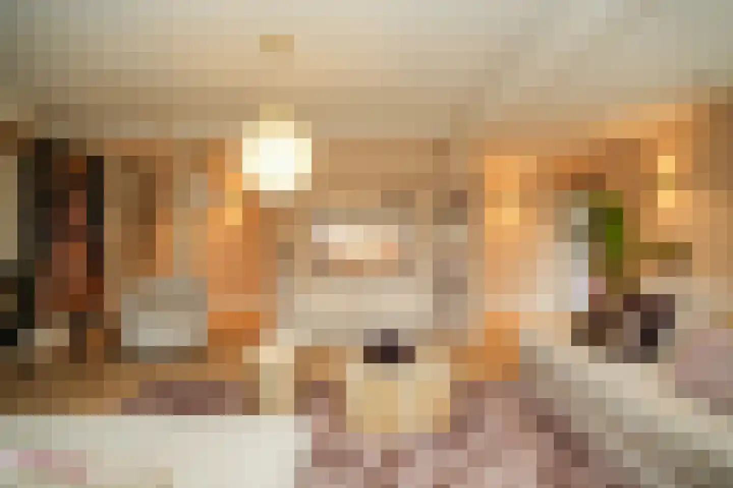 Beemstraat 44 Gameren thumbnail 9