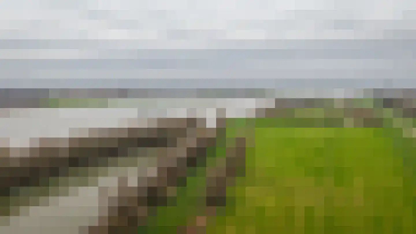 Beemstraat 44 Gameren thumbnail 93