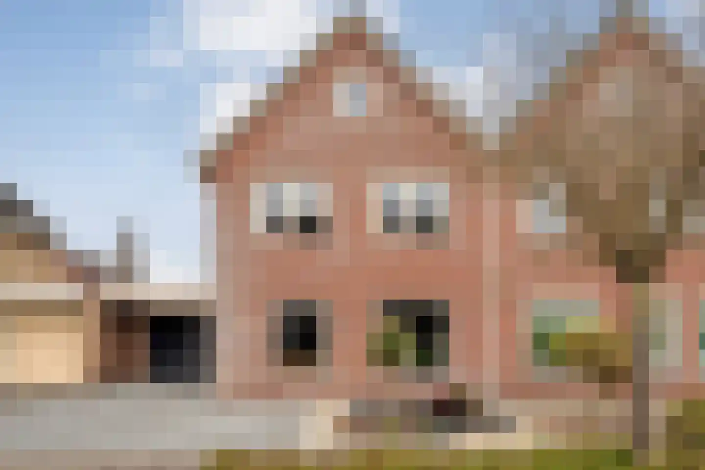 Beentjesgravenland 4 in Nieuwleusen
