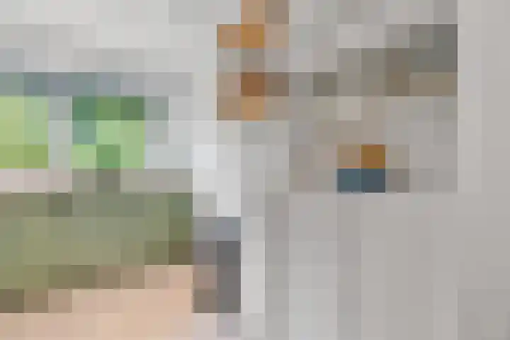 Beereveld 2 Amersfoort thumbnail 13