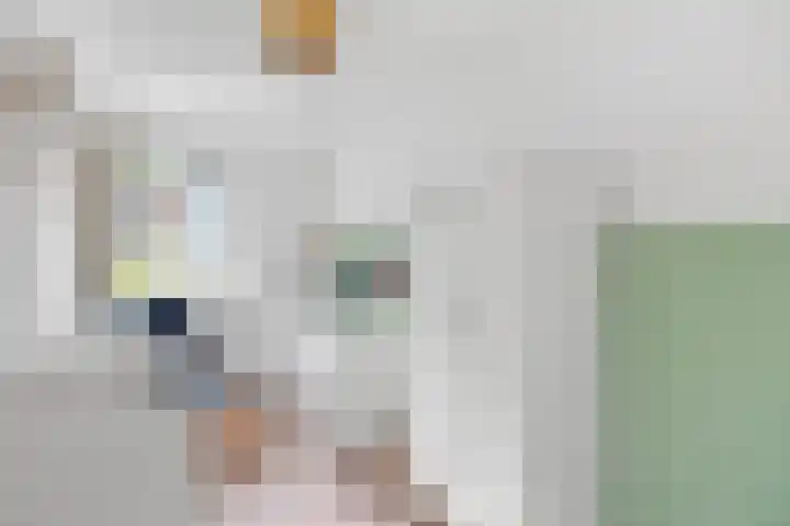 Beereveld 2 Amersfoort thumbnail 19