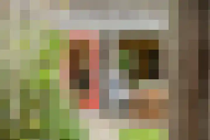 Beereveld 2 Amersfoort thumbnail 30