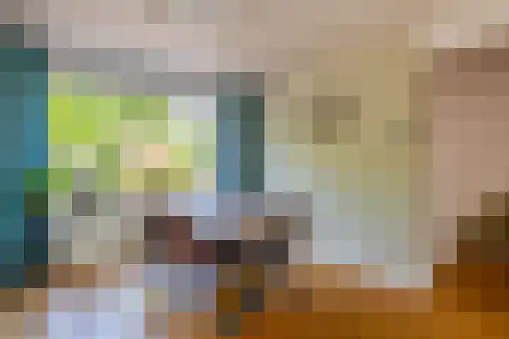 Beersbeemden 2 Duizel thumbnail 12