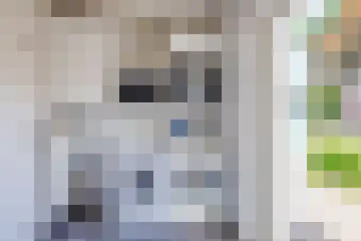 Beersbeemden 2 Duizel thumbnail 18