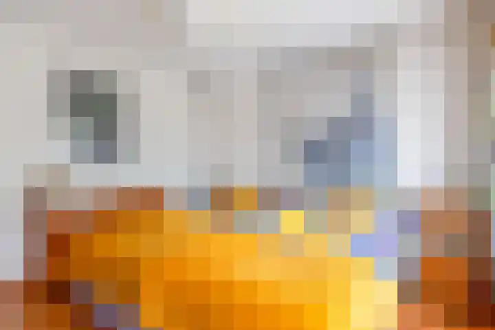 Beersbeemden 2 Duizel thumbnail 21